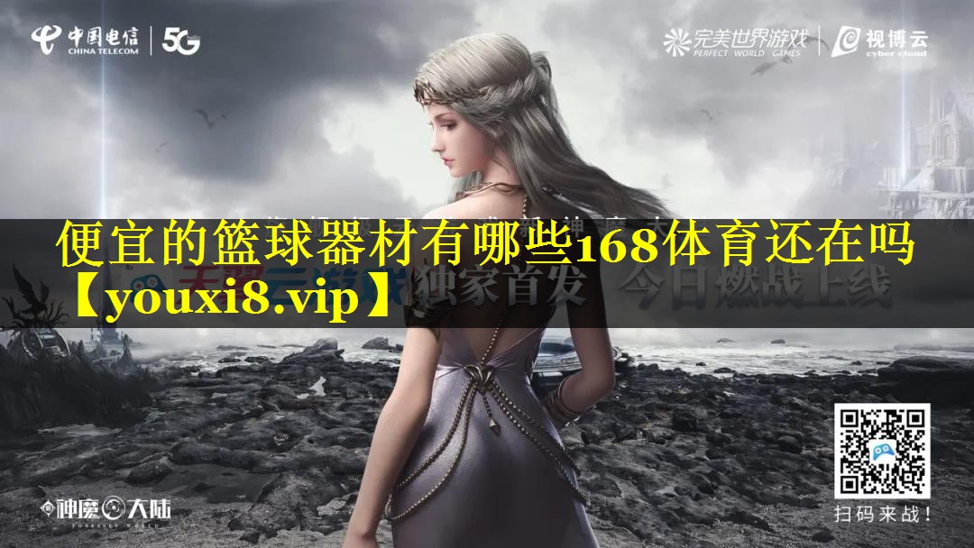 便宜的篮球器材有哪些168体育还在吗