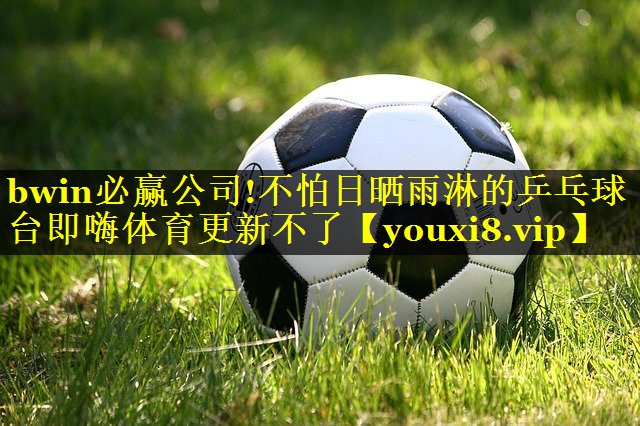 bwin必赢公司!不怕日晒雨淋的乒乓球台即嗨体育更新不了
