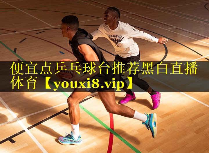 便宜点乒乓球台推荐黑白直播 体育