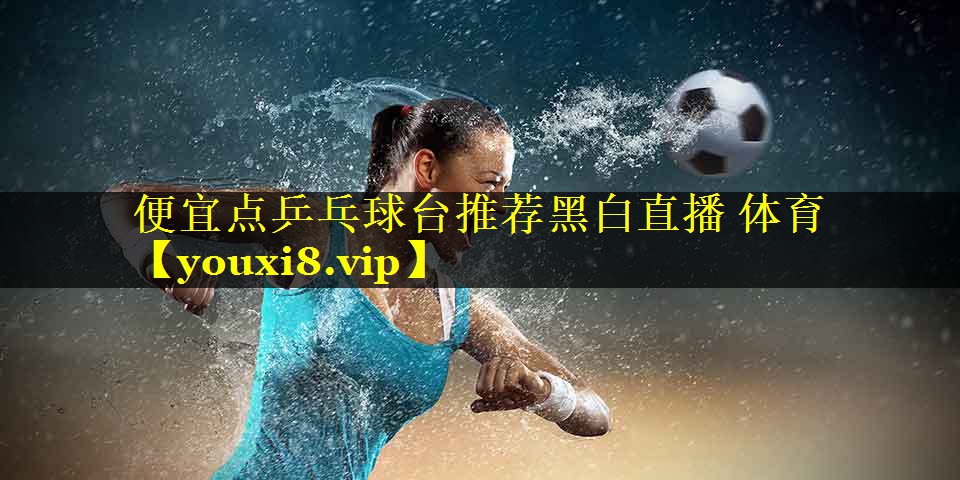 便宜点乒乓球台推荐黑白直播 体育
