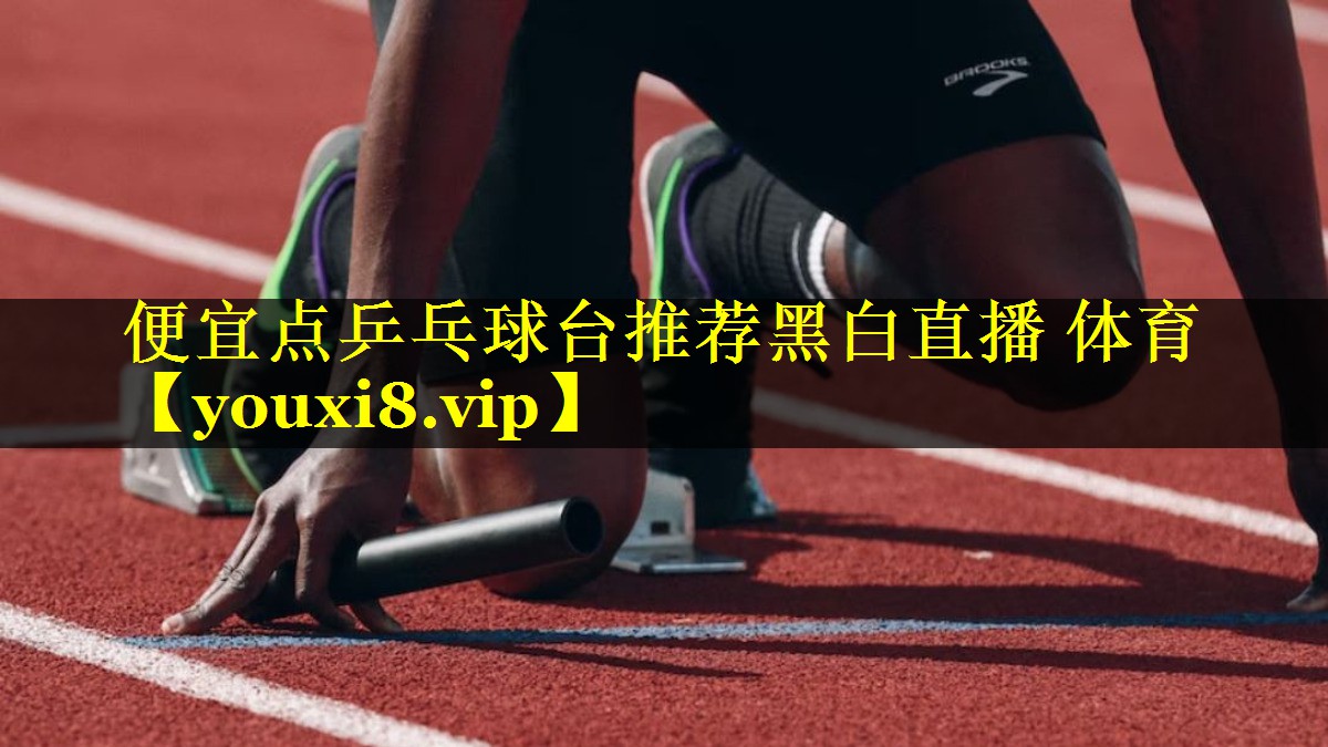 便宜点乒乓球台推荐黑白直播 体育