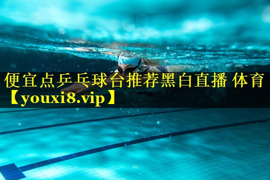 便宜点乒乓球台推荐黑白直播 体育