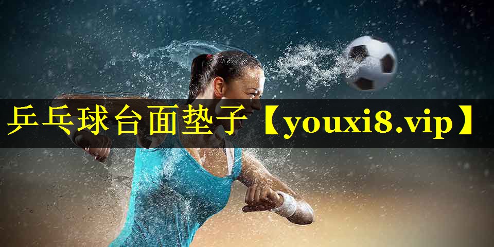 乒乓球台面垫子